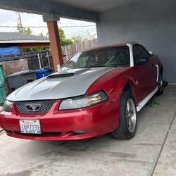 1999 Ford Mustang