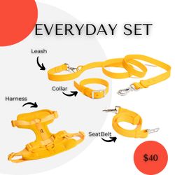 Dog, harness, collar, Leash, Seatbelt 