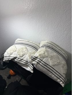 Accent Pillows w cover