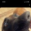Charlie