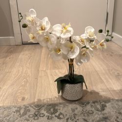Small Fake Orchid Plant For home 