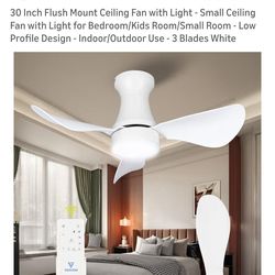 Ceiling fan