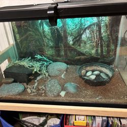 Snake Tank With Accessories 