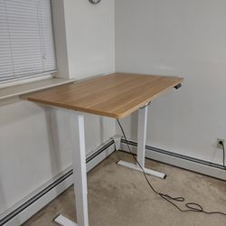 FLEXISPOT Whole-Piece Standing Desk, 48 x 30 Electric Stand Up Height Adjustable