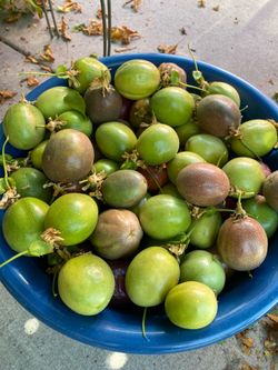 Maracuyá