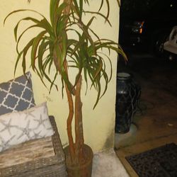 6ft+ Gorgeous Artificial Tree Plant 15 Firm 