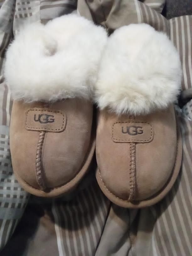 Uggs Slipper 