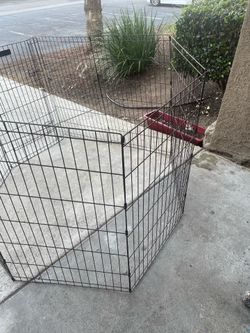 large dog  incloser