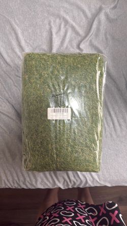 Dog Grass Pe…. Door outdoor