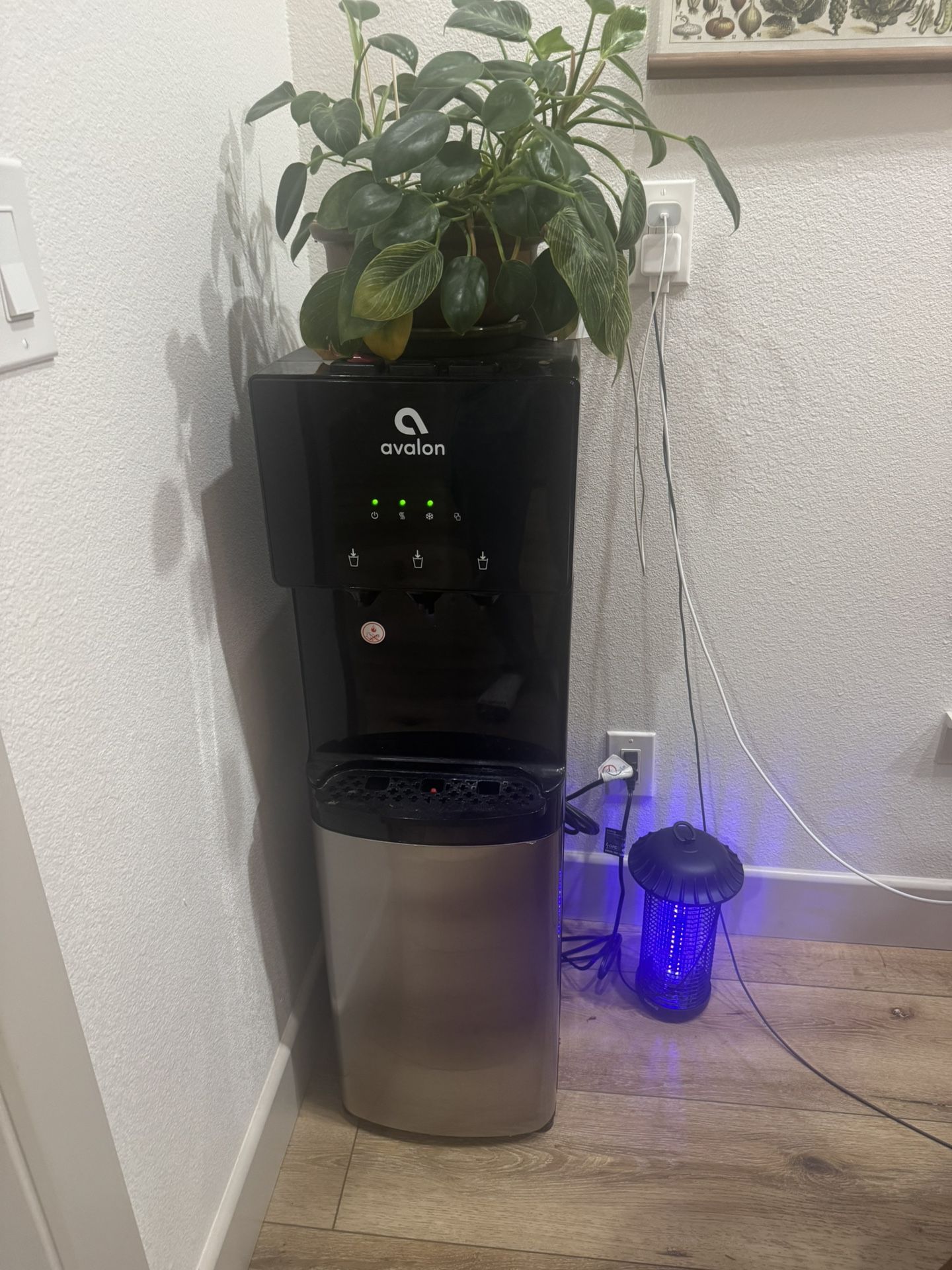 Avalon Water Dispenser