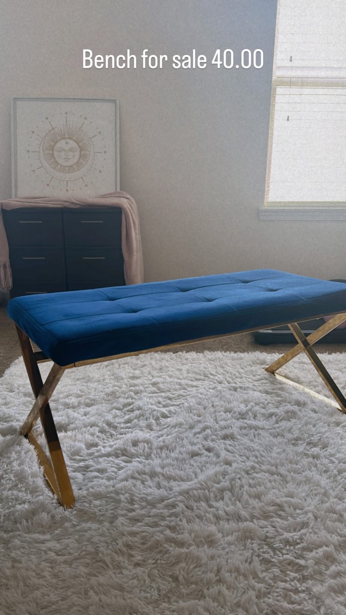 Blue Velvet Bench
