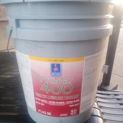 5 Gallon Paint