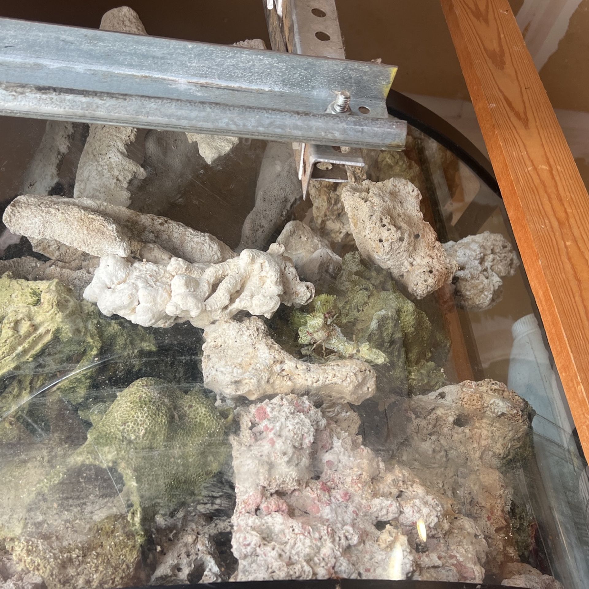 Salt Water Dry Reef Rock Live Rock