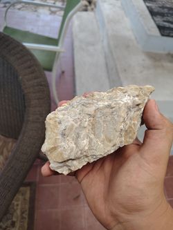 Rock with a bunch of mica shards