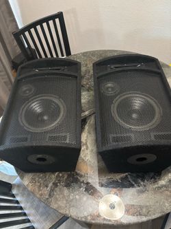 Large goldwood pa/dj speakers passive