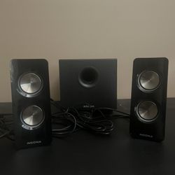 Insignia Speakers 