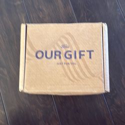 Ford to Tesla fast charger