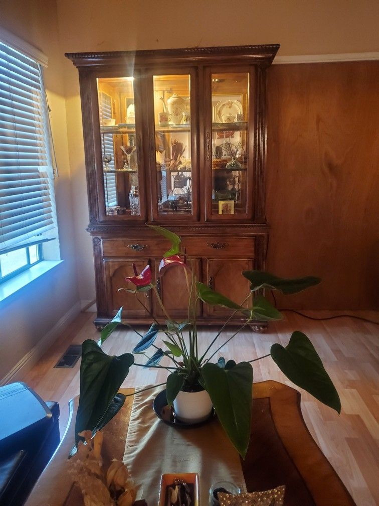China Cabinet