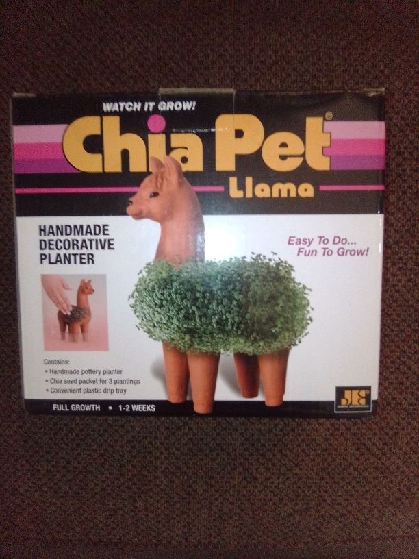 Llama Chia Pet