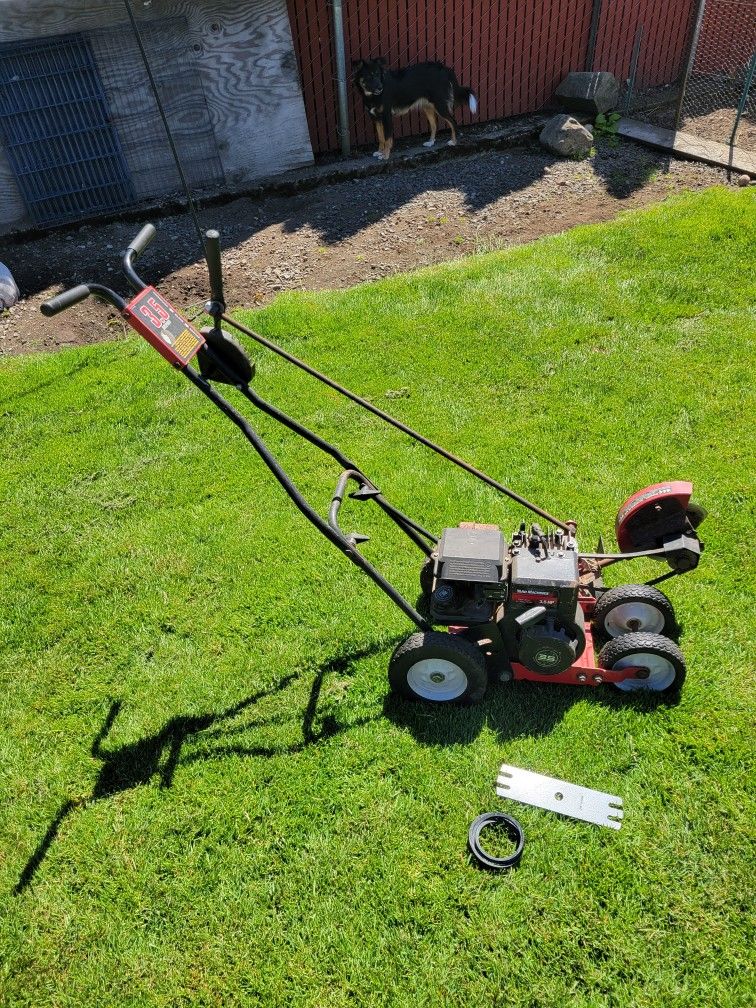 Lawn Edger 