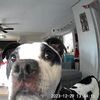 Winston