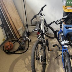White Mountain Bike