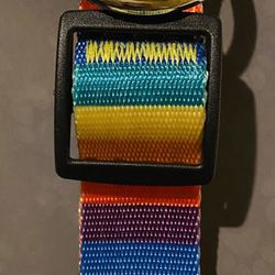 Pet Collars 