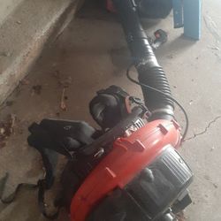 Soplador Y Cortadora De Hierba