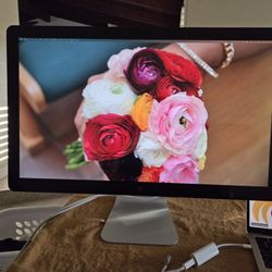 Apple Thunderbolt Display