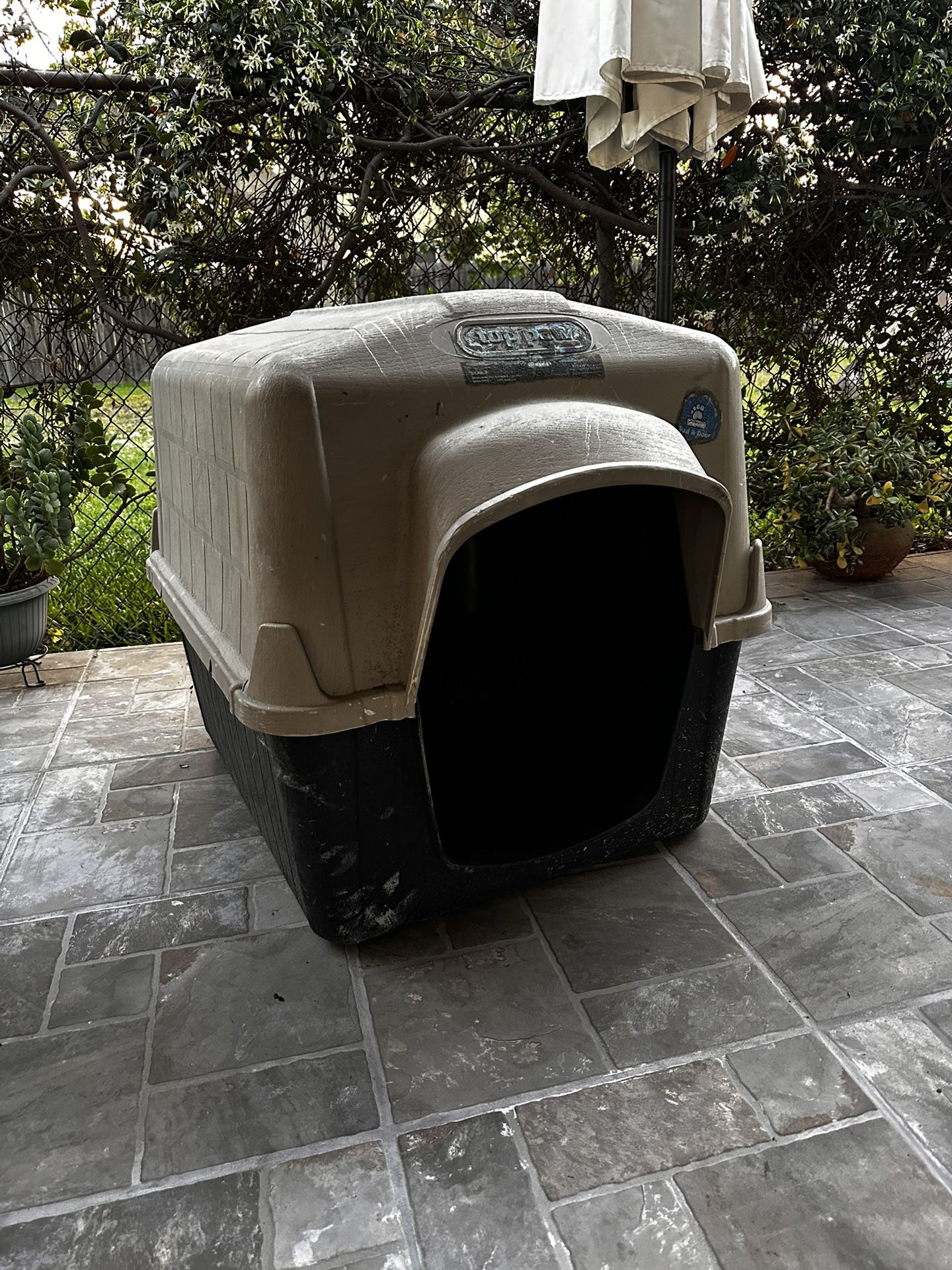 Dog House