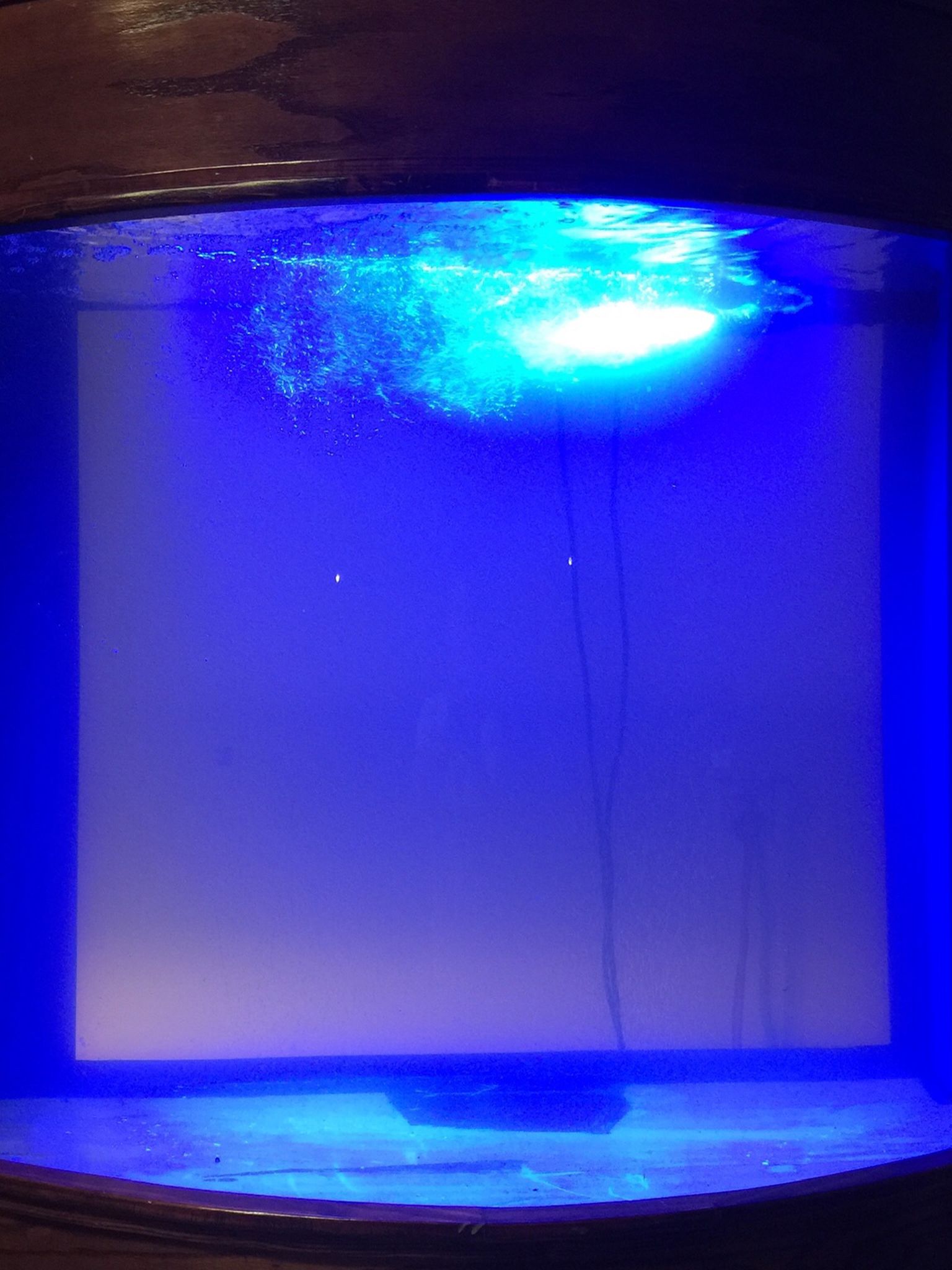 175 acrylic salt water drilled aquarium fish tank