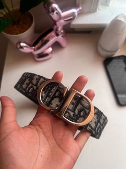 Dior belt