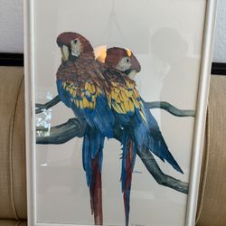 PRINT PAINTING FRAME PARROT 