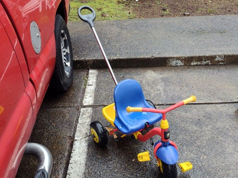 Bike Stroller 