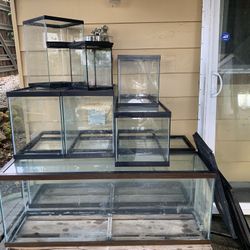 Reptile And Fish Tanks