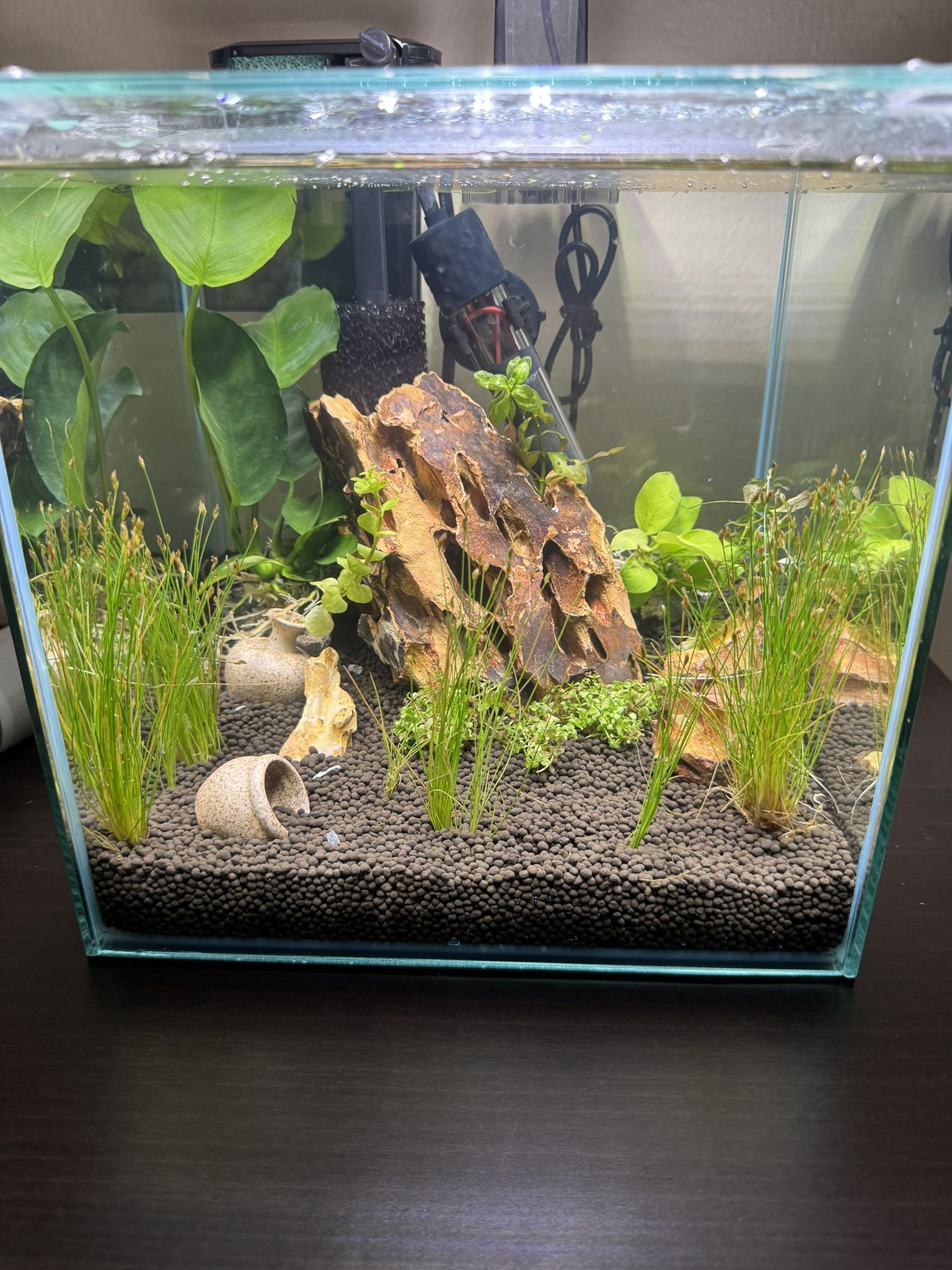 9 Inch Cubic Micro Fish Tank