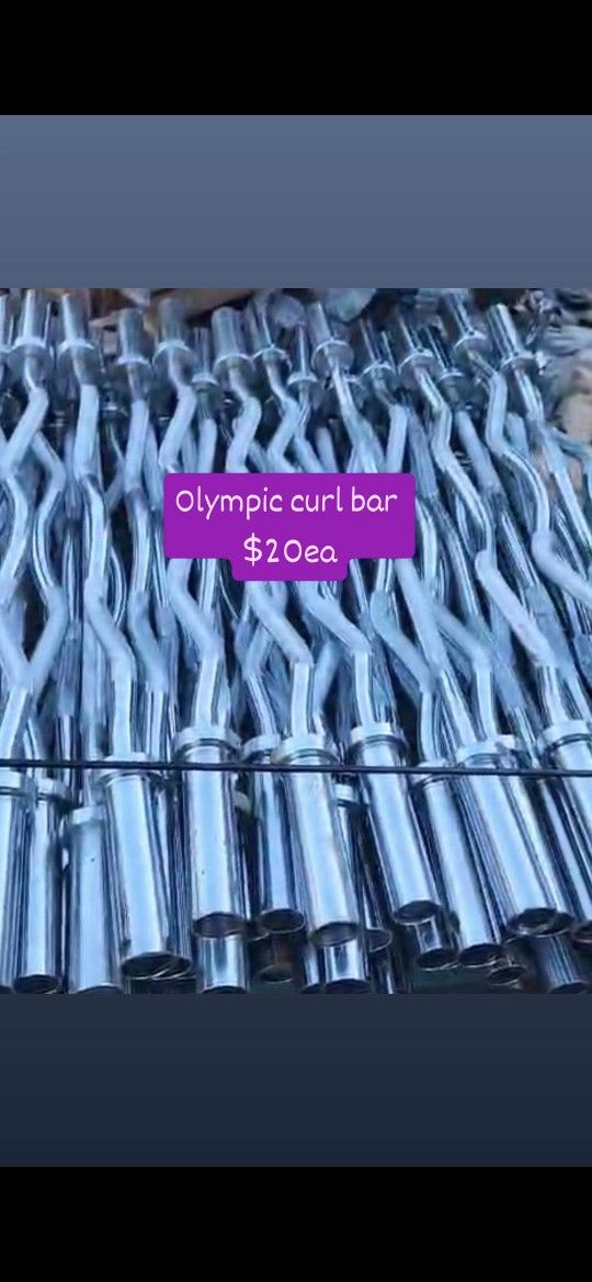 Olympic Curl Bar