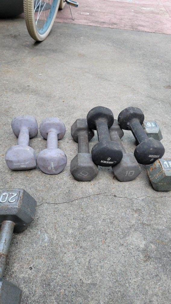 gym weights