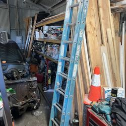 Werner 16 Foot ladder