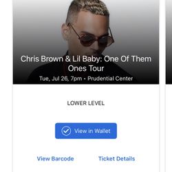 Two Chris Brown Lil Baby Newark Concert Tickets 