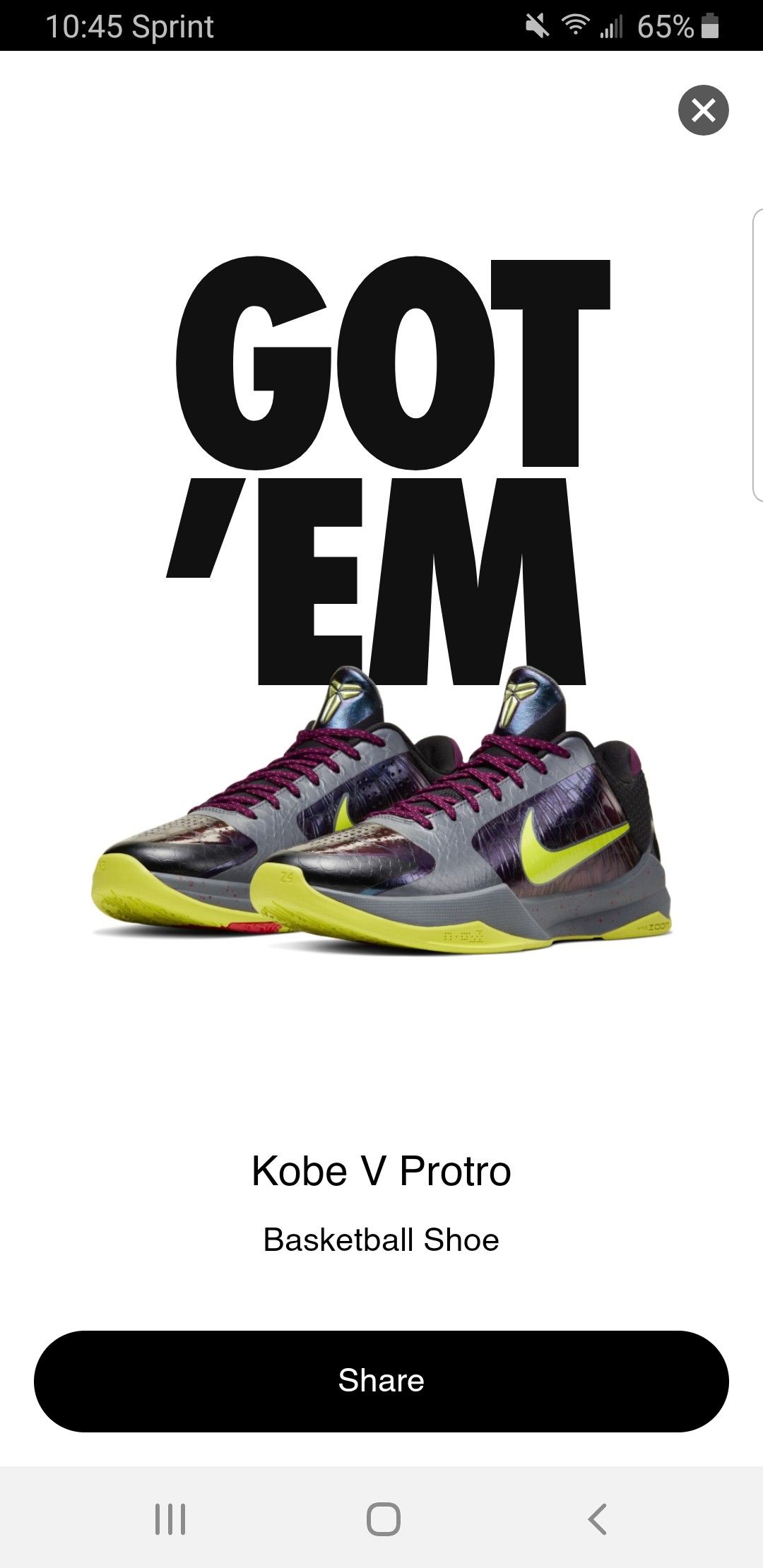 Kobe 5 protro chaos Gamer Exclusive