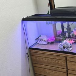70 gallon fish tank with light