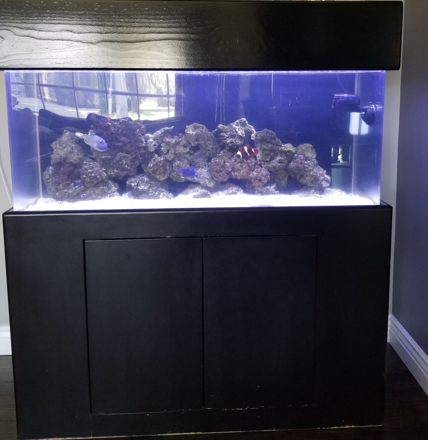 Acrylic aquarium