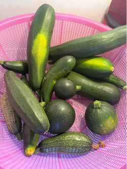 Calabacitas tiernas. 1$.  Libra