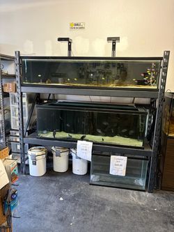 2 tanks with rack