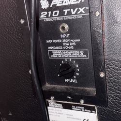 Peavey 210 Tvx