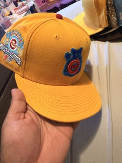 Fitted Hat 15$