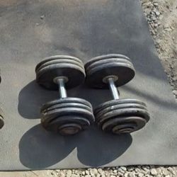 Dumbbells 2x75lbs 