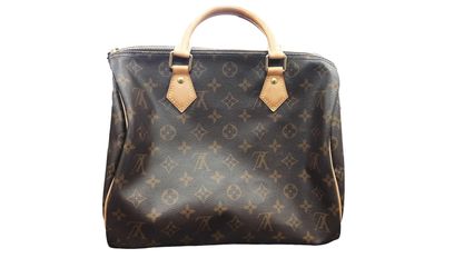 Louis Vuitton Speedy Brown Purse / Handbag