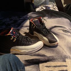 Jordan 12